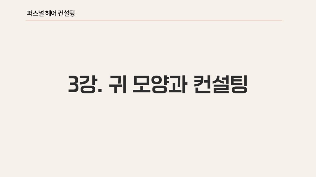 헤어컨설팅 기준 귀모양, 귀높이